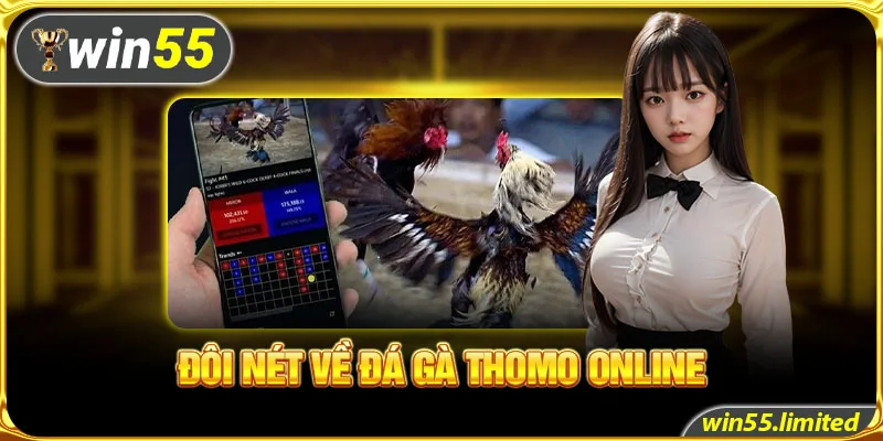 Đôi nét về đá gà Thomo online 