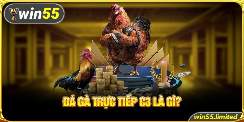 Đá gà trực tiếp C3 là gì ?