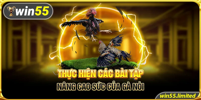 Thực hiện các bài tập nâng cao sức của gà nòi