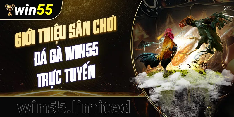 Giới thiệu sân chơi đá gà Win55 trực tuyến